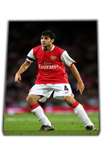 Cesc Fabregas A1 Canvas Print 