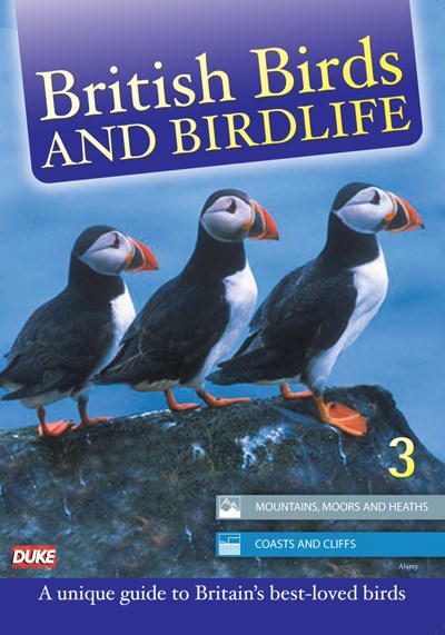 British Birds & Birdlife Vol 3 DVD