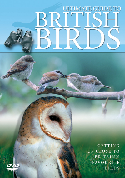 ULTIMATE GUIDE TO BRITISH BIRDS
