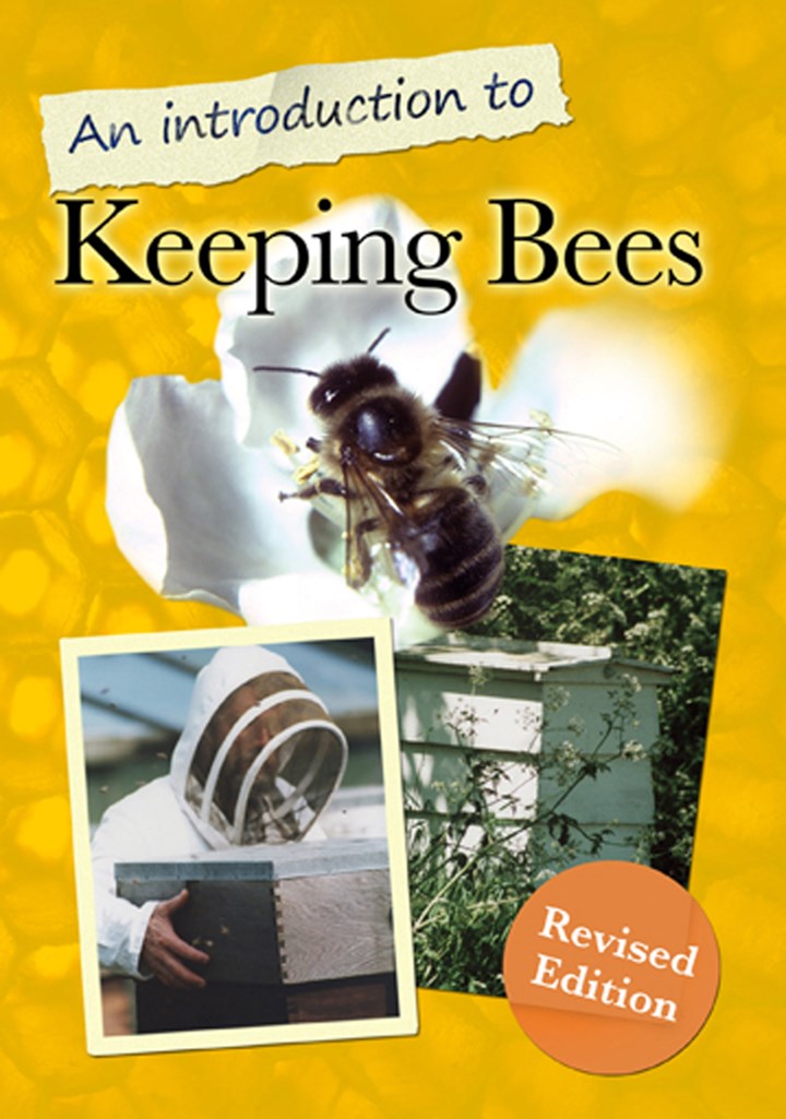 An Introduction to Keeping Bees  DVD