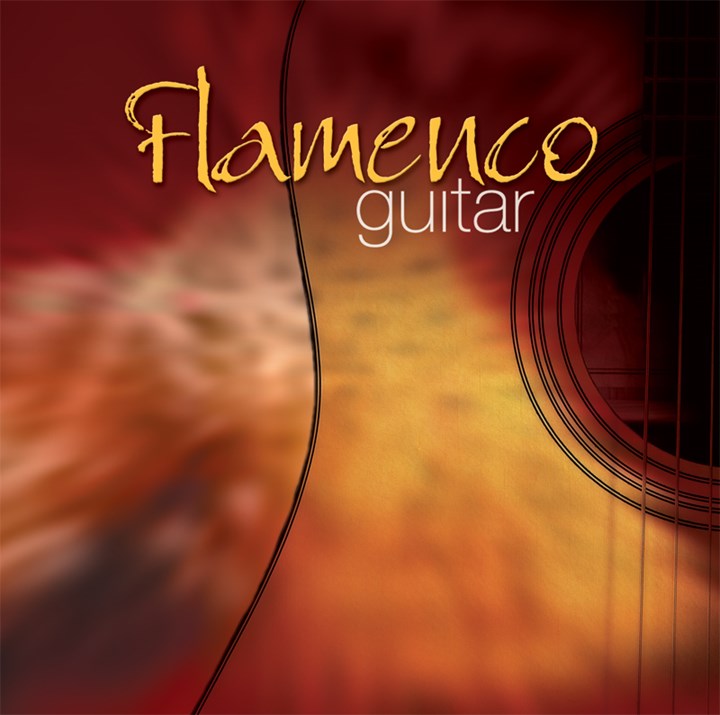 Flamenco Guitar CD