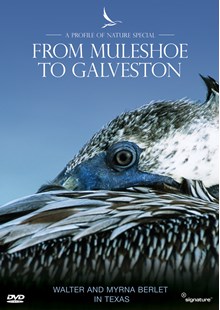 Profiles of Nature - From Muleshoe to Galveston DVD