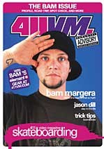 411VM: the Bam Issue DVD