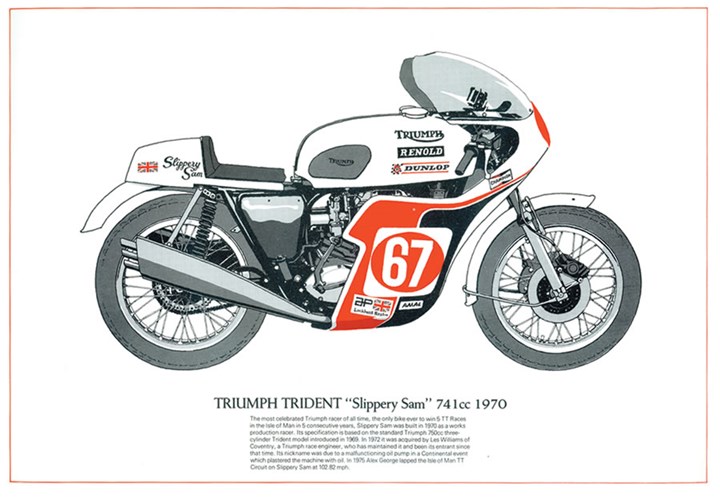 Slippery Sam Triumph Trident Print
