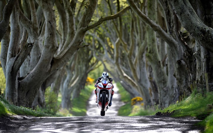 Michael Dunlop Dark Hedges Acrylic - click to enlarge