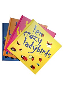 The Norris Insect Series - Counting to Ten