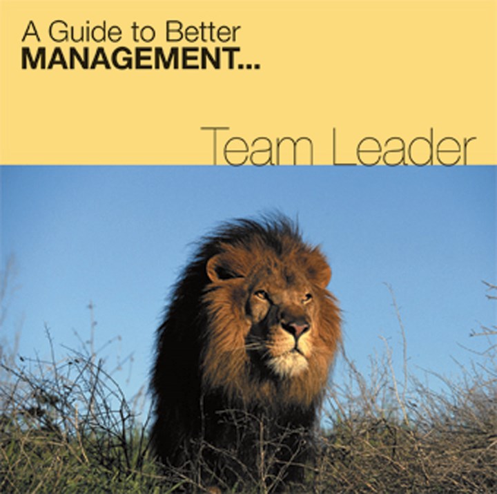 Team Leader CD