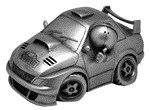 Stig Rally Driving