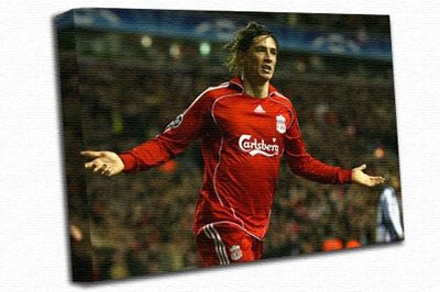 Fernando Torres A3 Canvas Print 