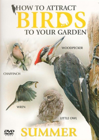 How to Attract Birds to your Garden Summer DVD