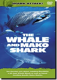 Shark Attack - The Whale and M