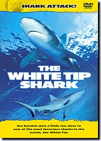 Shark Attack - The White Tip S