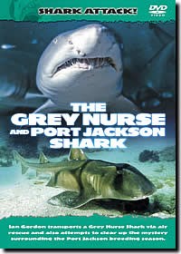 Shark Attack - The Grey Nurse 
