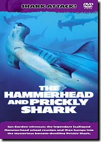 Shark Attack - The Hammerhead 