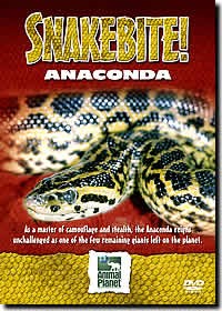 Snake Bite - Anaconda (DVD)