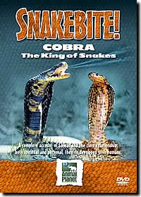 Snake Bite - Cobra the King of