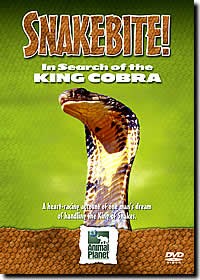 Snake Bite - In Search of the 