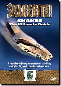 Snake Bite - Ultimate Guide to