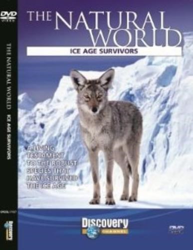 Natural World - Ice Age Survivors DVD