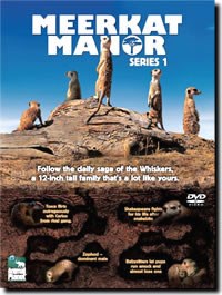 Meerkat Manor 4 DVD Set