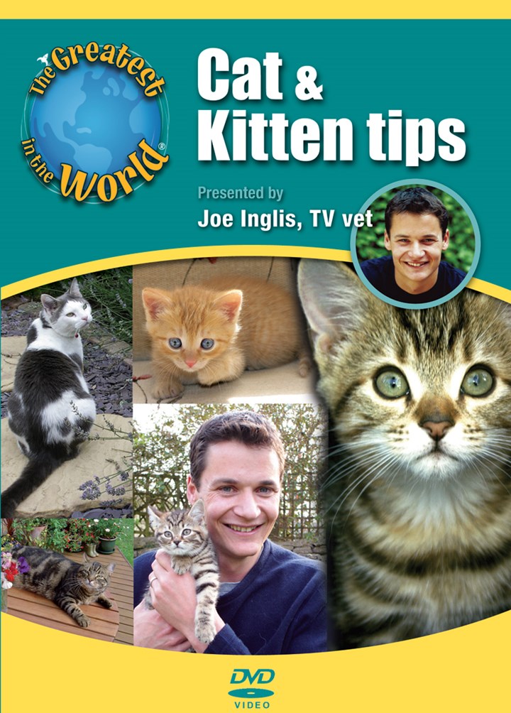 Cat & Kitten Tips - The Greatest In The World DVD