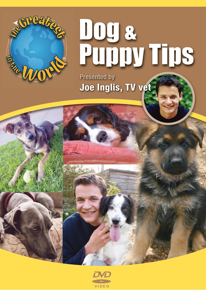 Dog and Puppy Tips - The Greatest In The World DVD