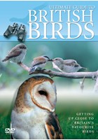 Ultimate Guide to British Birds DVD