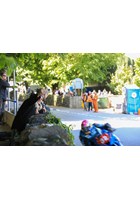 Milntown VIP TT Grandstand