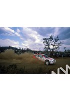 Colin McRae/Nicky Grist (Ford Focus WRC) Safari Rally 1999.