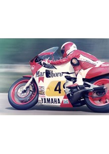 Eddie Lawson Transatlantic Trophy DonIngton 1984