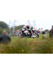 Hutchy Deers Leap Ulster 2015 Acrylic