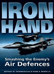 Iron Hand: Smashing the Enemy's Air Defences Book