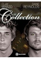 The Collection DVD