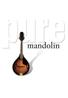 Pure Mandolin CD