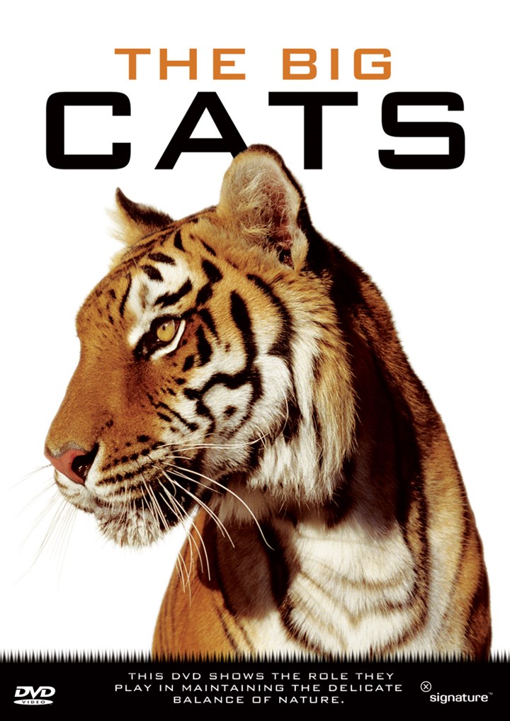 The Big Cats DVD