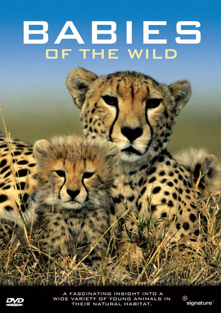 Babies Of The Wild DVD