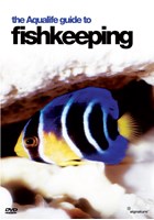 The Aqualife Guide to Fishkeeping (DVD)