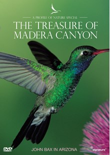 Profiles of Nature - The Treasure of Madera Canyon DVD