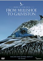 Profiles of Nature - From Muleshoe to Galveston DVD