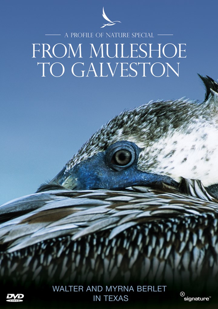 Profiles of Nature - From Muleshoe to Galveston DVD