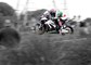 Hutchy Deers Leap Ulster 2015 Acrylic